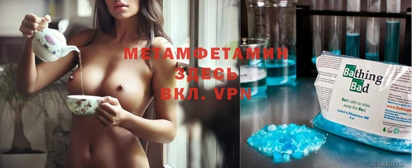 мет Алексин