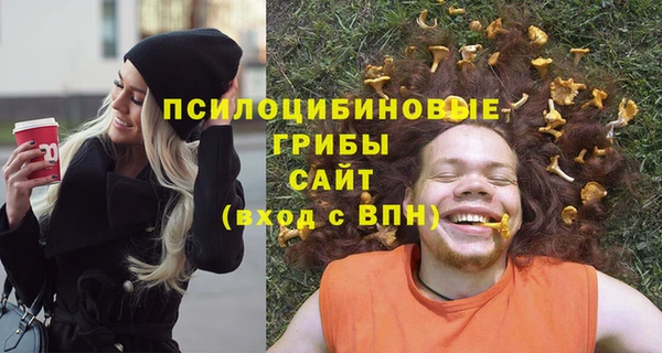 ГАЛЛЮЦИНОГЕННЫЕ ГРИБЫ Алзамай