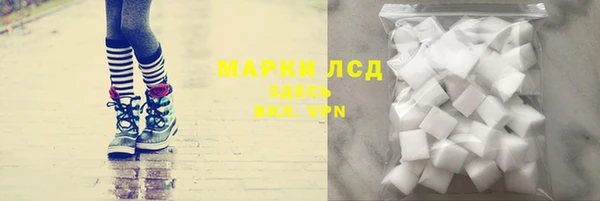 ГАЛЛЮЦИНОГЕННЫЕ ГРИБЫ Алзамай